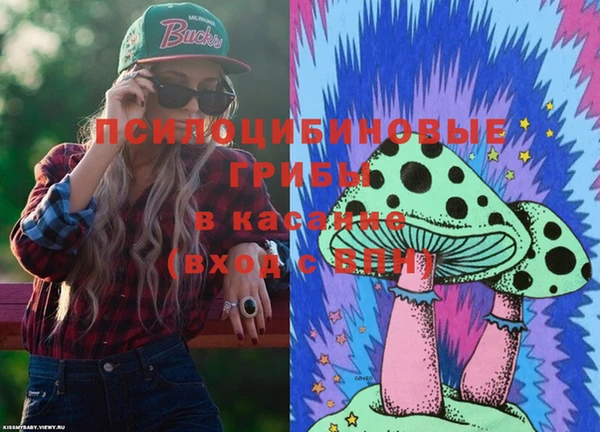 амф Пестово