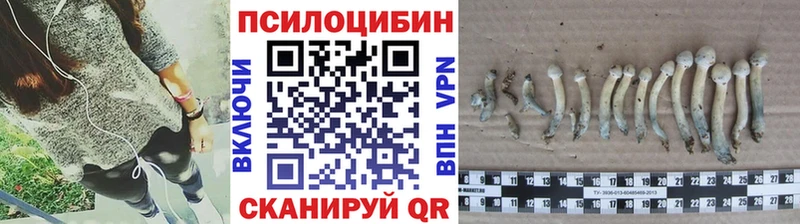 Псилоцибиновые грибы Magic Shrooms  Строитель 